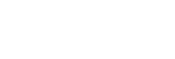 NESH — North East Service Hub